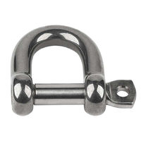 10mm D Shackle, 3/8" Pin