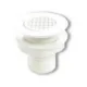 Picture of 1-1/2" Screened Flush Head Drain Thru-Hull