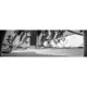 Picture of Skid Black 60 grit 51mm x 3m