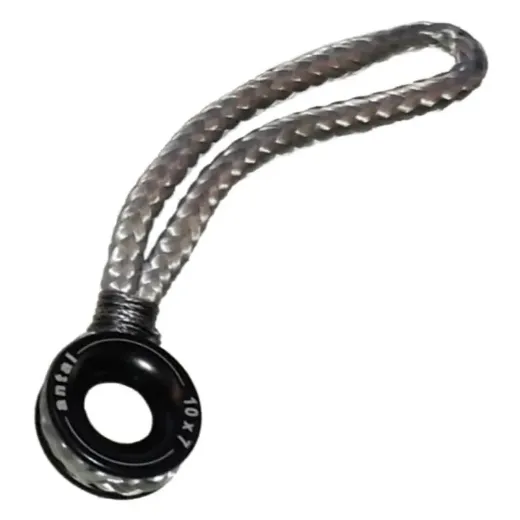 Category Rings with Loop - Antal