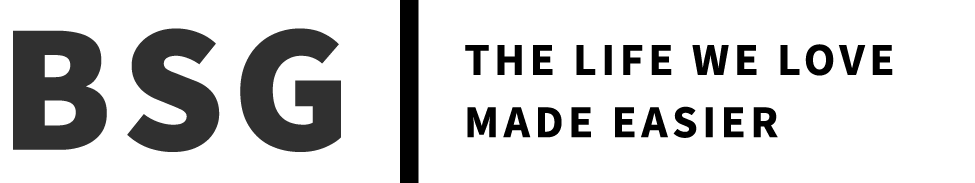 Boat System Group Logo